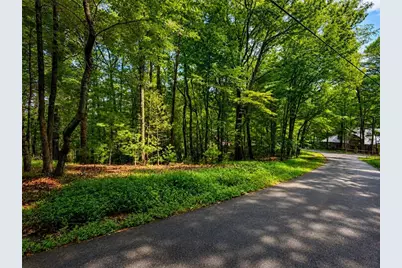 J208 Pine Ridge Road, Ellijay, GA 30536 - Photo 4