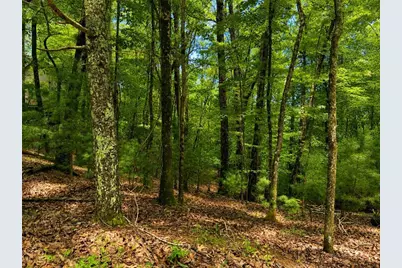 J208 Pine Ridge Road, Ellijay, GA 30536 - Photo 2