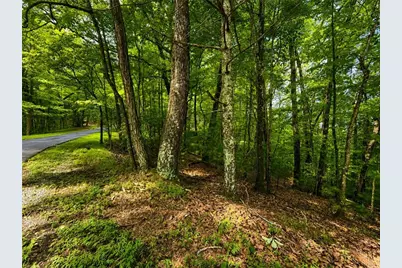 J208 Pine Ridge Road, Ellijay, GA 30536 - Photo 8