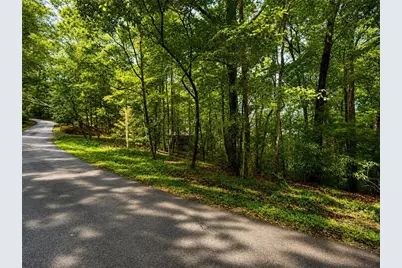 J208 Pine Ridge Road, Ellijay, GA 30536 - Photo 6
