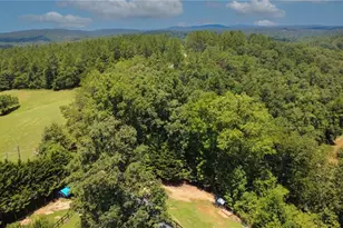 268 Creek Bank Dr, Talking Rock, GA 30175 - Photo 44