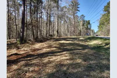 12425 Panhandle Road, Hampton, GA 30228 - Photo 4