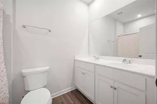253 Birchwood Row, Holly Springs, GA 30115 - Photo 26