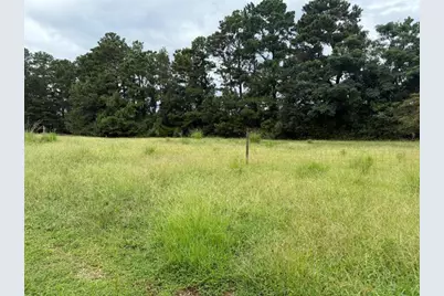 0 Cannon Road, Sharpsburg, GA 30277 - Photo 2