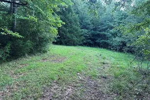 1069 Harbert Valley Rd, Toccoa, GA 30577 - Photo 4