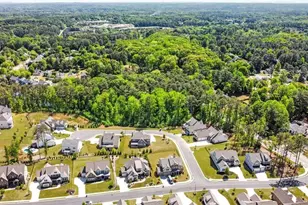 1145 Sweet Mia Ln, Powder Springs, GA 30127 - Photo 74