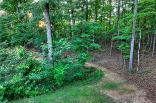 270 Wild Oaks Wy, Ellijay, GA 30540 - Photo 44