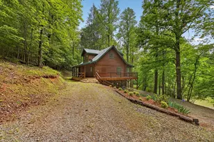 48 Twin Creeks, Blue Ridge, GA 30513 - Photo 1