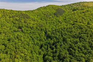 1049 Rockwater Road, Ellijay, GA 30536 - Photo 48