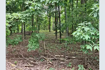 1467 Hanna Drive, Ranger, GA 30734 - Photo 2