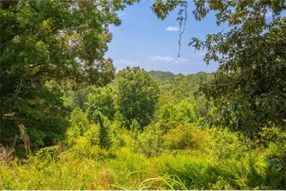 Lot A Porter Springs Road, Dahlonega, GA 30533 - Photo 2