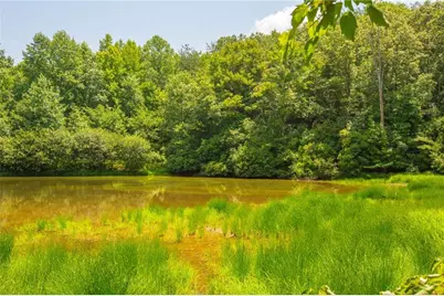 Lot A Porter Springs Road, Dahlonega, GA 30533 - Photo 14
