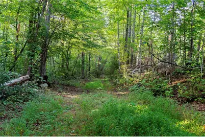 Lot A Porter Springs Road, Dahlonega, GA 30533 - Photo 18