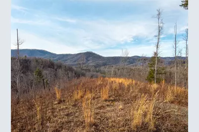 156+ Higdon Creek Road, Blue Ridge, GA 30513 - Photo 12
