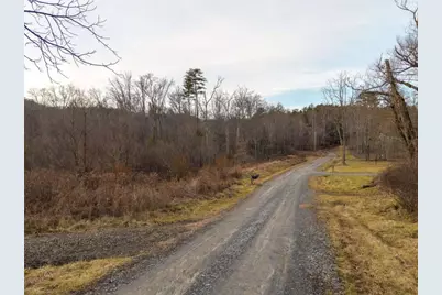 156+ Higdon Creek Road, Blue Ridge, GA 30513 - Photo 34