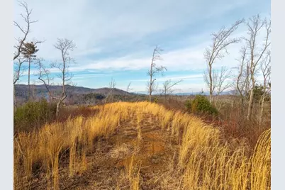 156+ Higdon Creek Road, Blue Ridge, GA 30513 - Photo 10