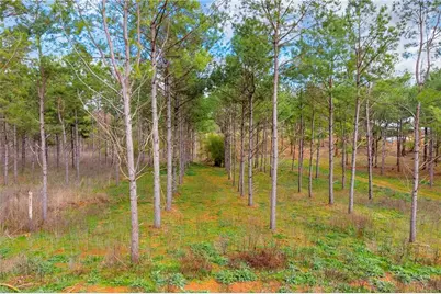 1660 Watkins Farm Road, Nicholson, GA 30565 - Photo 10