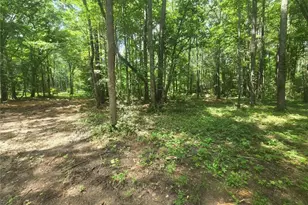 966 Judkin Mill Rd, Cedartown, GA 30125 - Photo 10