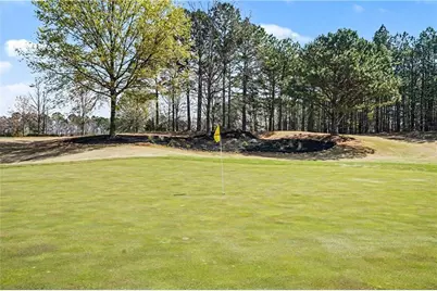 329 Sandy Springs Drive, Griffin, GA 30223 - Photo 46