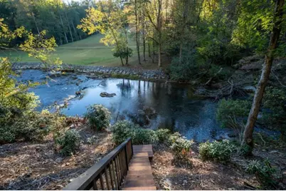 35 Dogwood Riverside Drive, Blue Ridge, GA 30513 - Photo 46