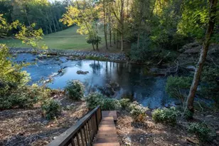 35 Dogwood Riverside Dr, Blue Ridge, GA 30513 - Photo 46