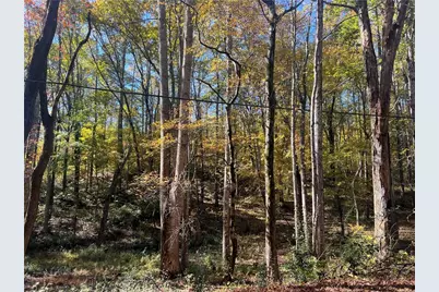 10494 Ball Ground Highway, Ball Ground, GA 30107 - Photo 8