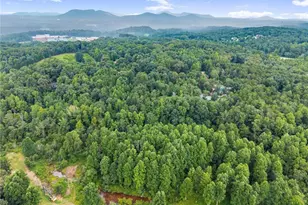 481 Leona Ln, Cleveland, GA 30528 - Photo 48
