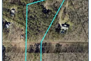 112 Singletree, Stockbridge, GA 30281 - Photo 46