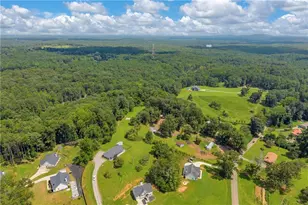 89 Eagles Perch Rd, Ball Ground, GA 30107 - Photo 42