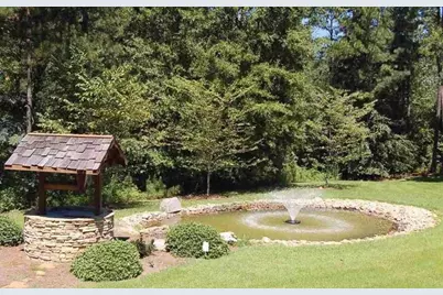 2771 Carey Station Rd Street, Greensboro, GA 30043 - Photo 2