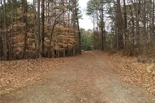 3161 Marble Quarry Rd, Canton, GA 30114 - Photo 8