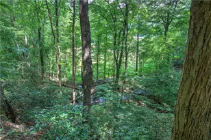 581 Crippled Oak Trail, Jasper, GA 30143 - Photo 32
