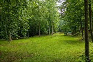 1117 Rambling Rd, Fairmount, GA 30139 - Photo 4