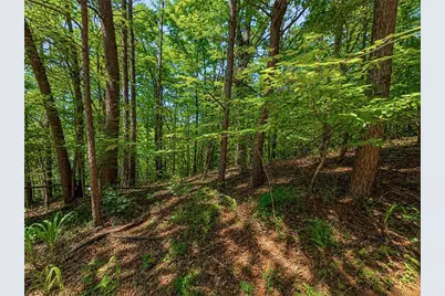 1652 Sable Court, Talking Rock, GA 30175 - Photo 6