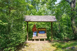 464 Poole Rd, Ball Ground, GA 30107 - Photo 60