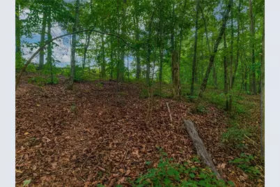 0 Hobgood Road, Rydal, GA 30171 - Photo 2