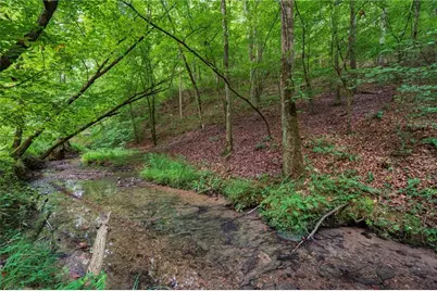 0 Hobgood Road, Rydal, GA 30171 - Photo 6