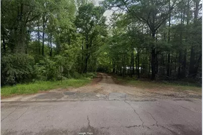 000 Fern Road, Woodbury, GA 30293 - Photo 2