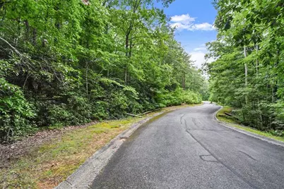 349 Golden Lane, Clarkesville, GA 30523 - Photo 8