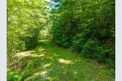 46 Green Kirby Lane, Blue Ridge, GA 30513 - Photo 28
