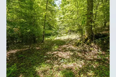 46 Green Kirby Lane, Blue Ridge, GA 30513 - Photo 26