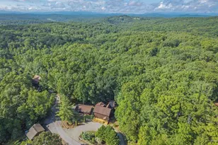 72 Gibbs Trail, Mineral Bluff, GA 30559 - Photo 8