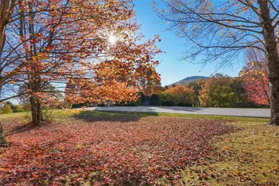 0 Rome Beauty Lane, Lot 4, Clarkesville, GA 30523 - Photo 2