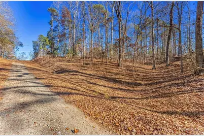 0 Mountain View Road, Lavonia, GA 30553 - Photo 2