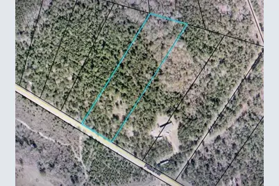 [Address not provided], Bartow, GA 30413 - Photo 4
