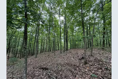 Lot 10 Mayfield Lane, Ranger, GA 30734 - Photo 10