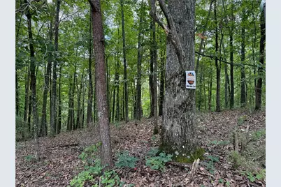 Lot 10 Mayfield Lane, Ranger, GA 30734 - Photo 6