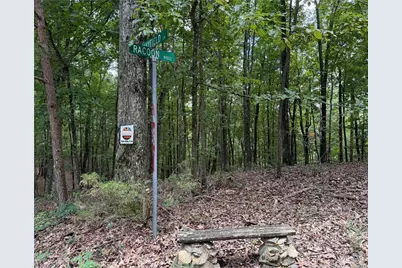 Lot 10 Mayfield Lane, Ranger, GA 30734 - Photo 1