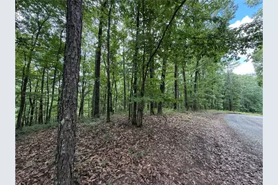 Lot 10 Mayfield Lane, Ranger, GA 30734 - Photo 2