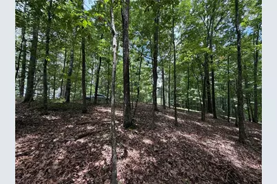 Lot 10 Mayfield Lane, Ranger, GA 30734 - Photo 12
